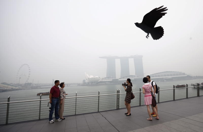<p>Singapore companies are generally a cautious bunch, they take no chances with their US dollar exposure and hedging remains an ongoing activity, said banks. <br/><br/></p>