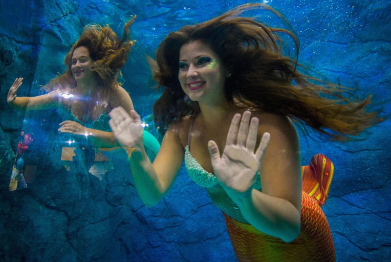<p>Als Sirenen verkleidete Frauen schwimmen am 14.08.2017 im Aquarium Sao Paulo (Brasilien). Das Aquarium, eins der größten Lateinamerikas, bietet regelmäßig ähnliche shows an. Foto: Cris Faga/ZUMA Wire/dpa +++(c) dpa - Bildfunk+++</p>