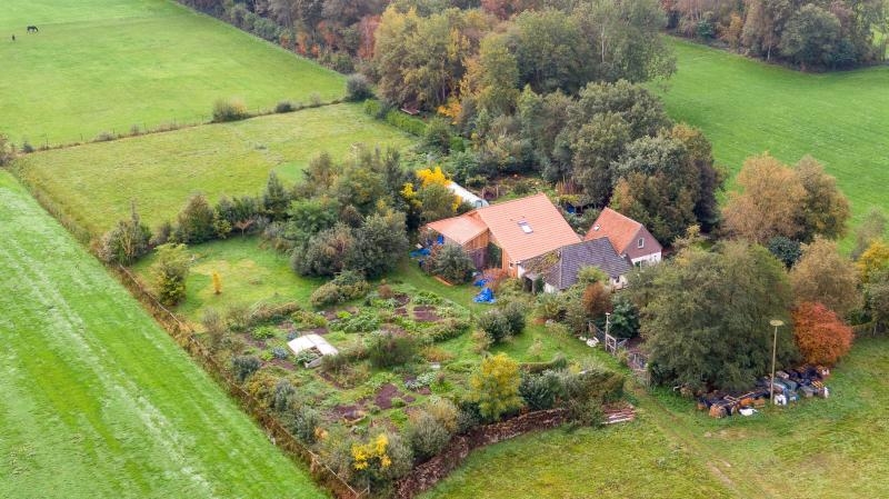 <p>Niederlande, Ruinerwold:</p>